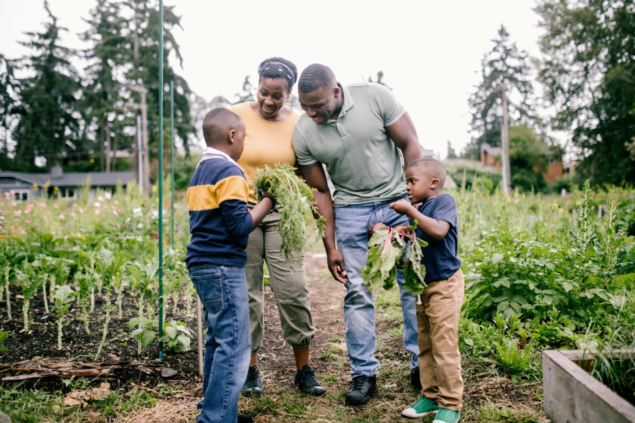 Family gathering food in a garden